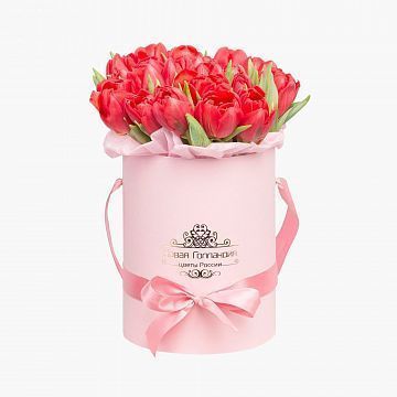 25 красных тюльпанов в розовой маленькой шляпной коробке №523 25 красных тюльпанов в розовой маленькой шляпной коробке №523