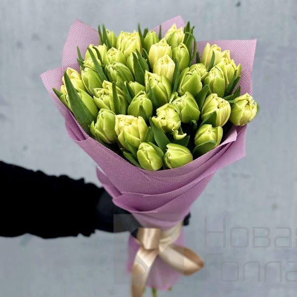 Букет 35 белых пионовидных тюльпанов