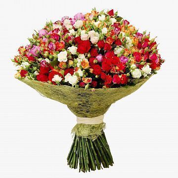Букет из кустовых роз ассорти Новая Голландия Букет из кустовых роз ассорти Новая Голландия