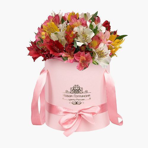 25 альстромерий микс в розовой шляпной коробке 