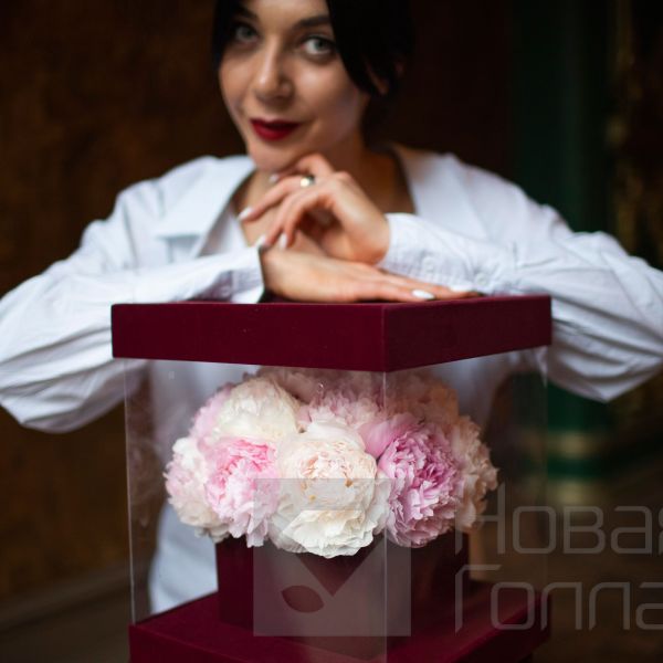 Аквариумная коробка Монпелье