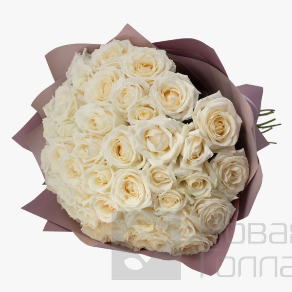 Букет 51 белая роза 35см