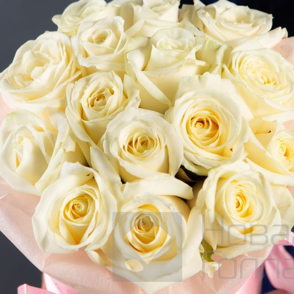 15 белых роз в маленькой розовой шляпной коробке №196