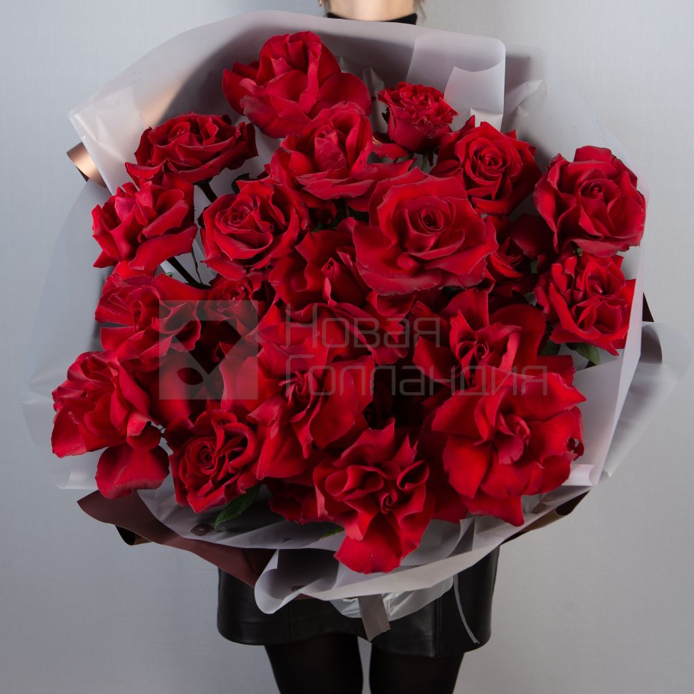 Букет 25 французских красных роз в упаковке 