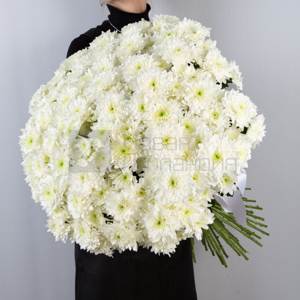 Букет облако из 51 хризантемы