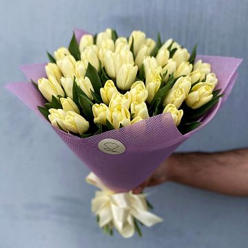 Букет 51 кремовый тюльпан