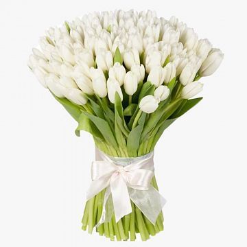 Букет 101 белый тюльпан