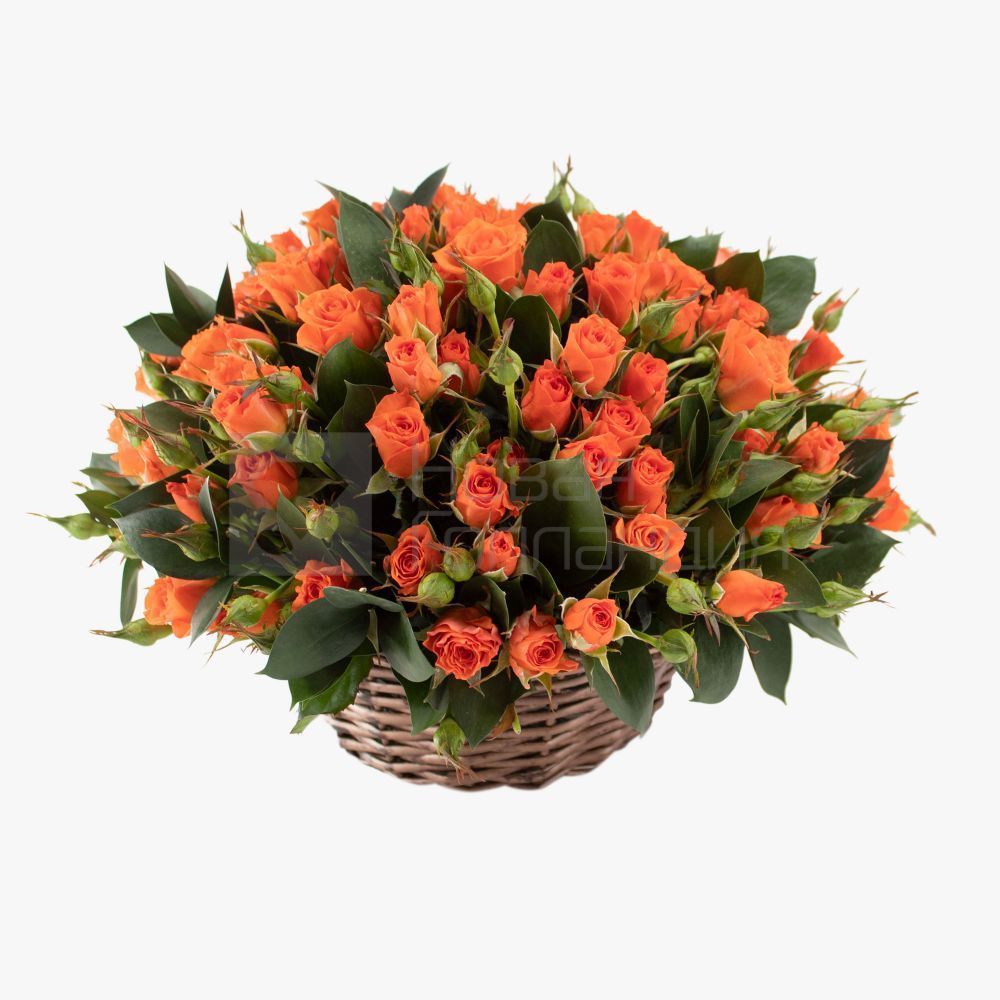 23 оранжевые кустовые розы в корзине
