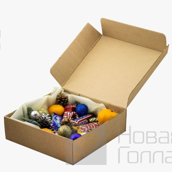Новогодний подарок-14