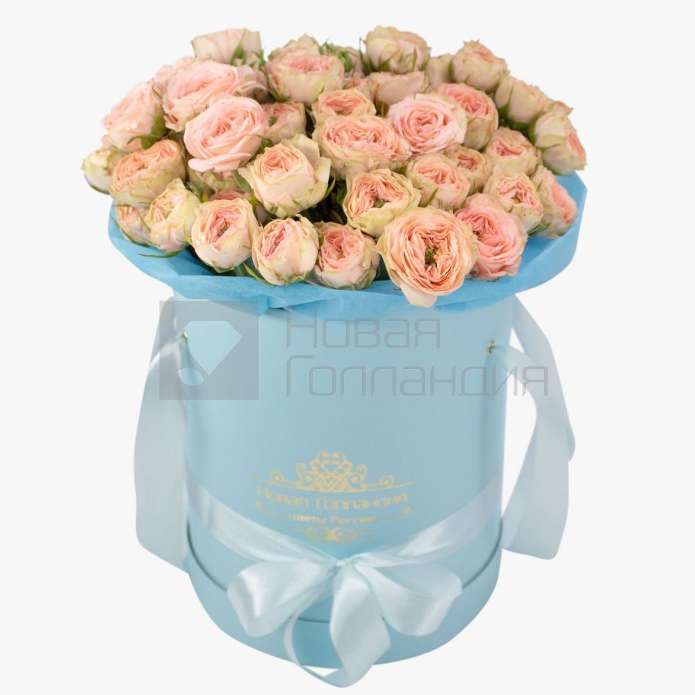 15 светлых кустовых пионовидных роз в голубой шляпной коробке