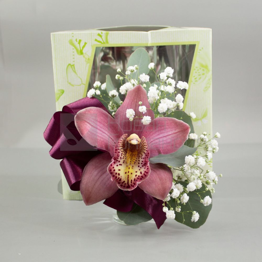 Орхидея в подарочной коробке