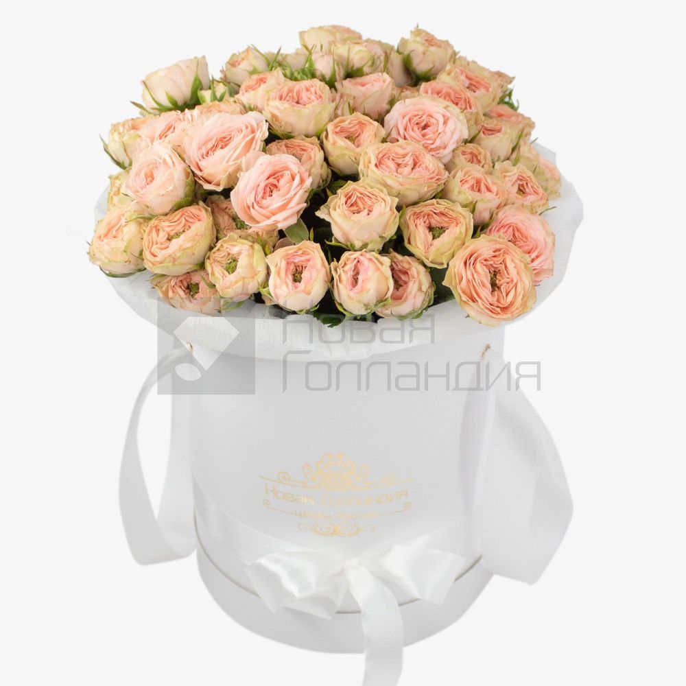 15 светлых кустовых пионовидных роз в белой шляпной коробке
