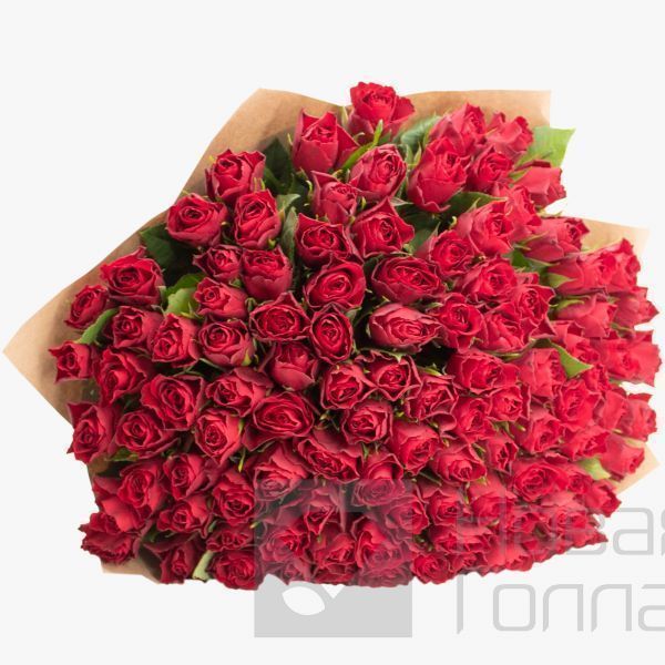 101 красная роза 40 см Кения