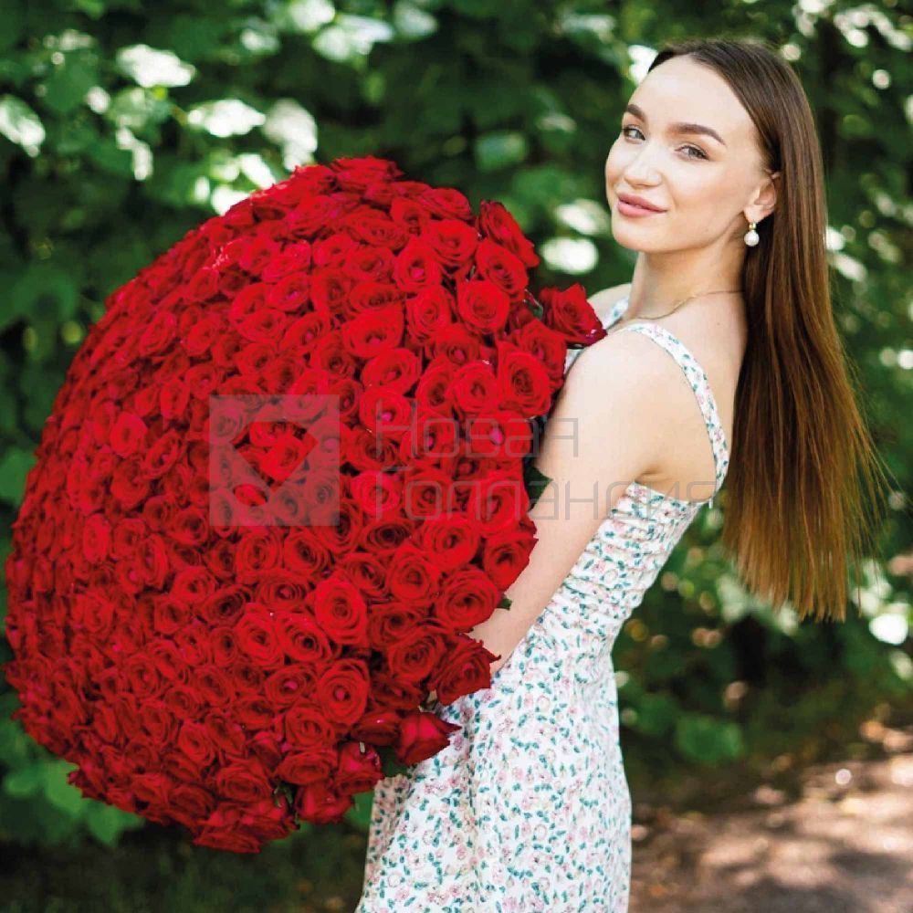Букет  301 красная роза 60 см