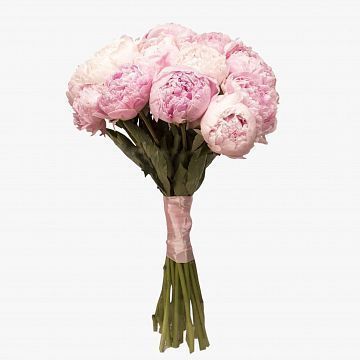 Букет из 17 пионов