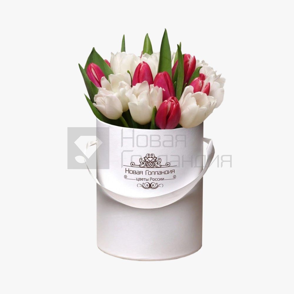 25 красно-белых тюльпанов в белой маленькой шляпной коробке №415