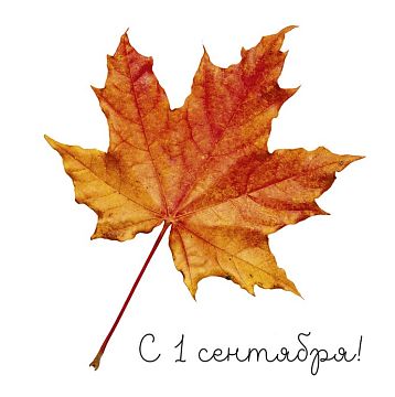 Открытка маленькая 1 сентября