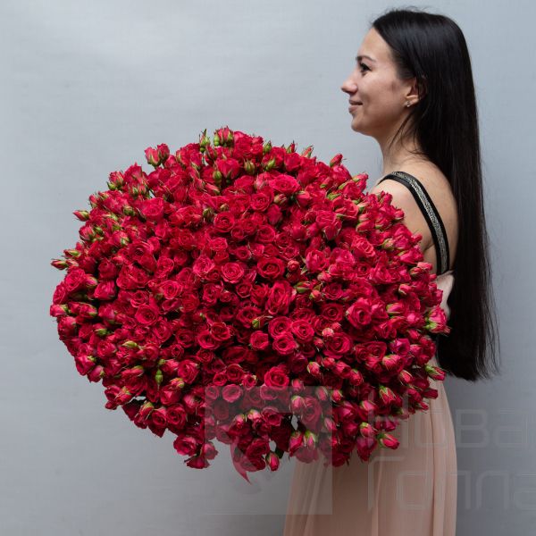 Букет 101 кустовая кремовая роза