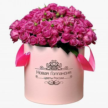 51 розовая кустовая пионовидная роза в большой розовой шляпной коробке №321 51 розовая кустовая пионовидная роза в большой розовой шляпной коробке №321