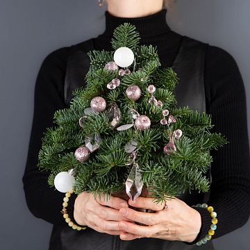 Ёлочка 25 см Ёлочка 25 см