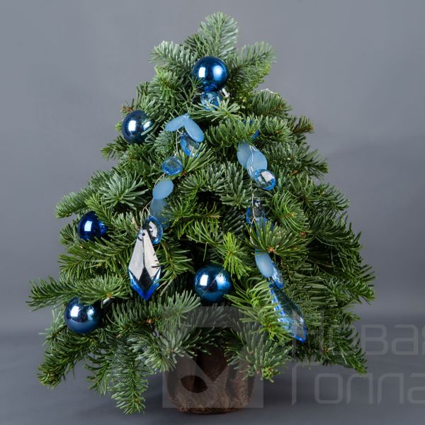 Ёлочка 25 см № 3