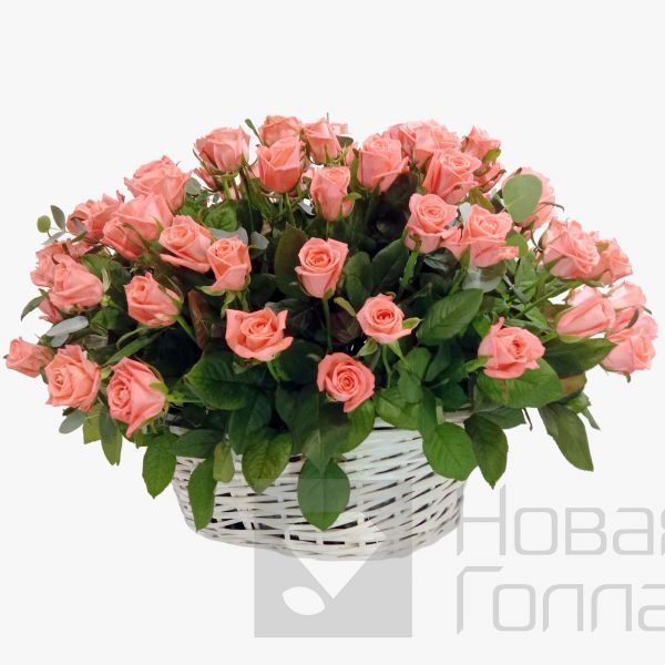 101 коралловая роза в корзине