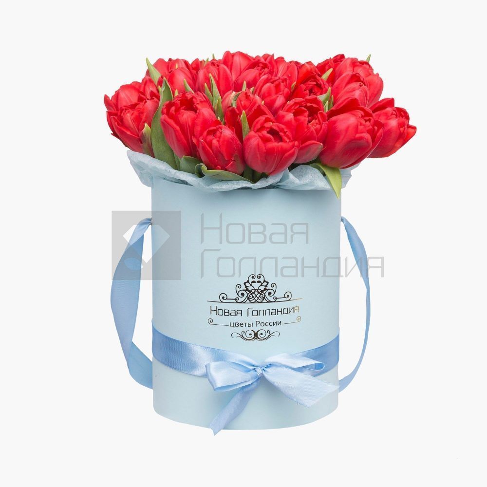 25 красных тюльпанов в голубой маленькой шляпной коробке №524