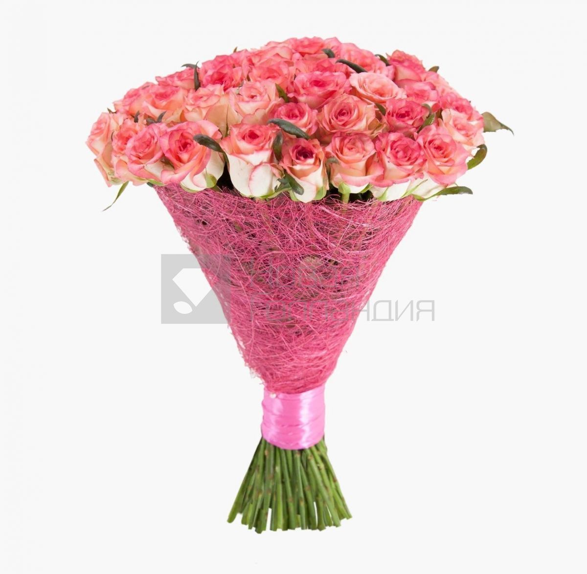 Букет 51 розовая роза  70см