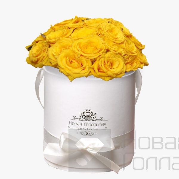 25 желтых роз в белой шляпной коробке №184