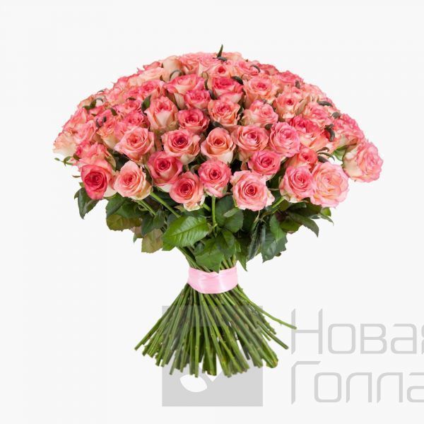 Букет 101 розовая роза 50 см Россия