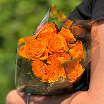 Букет 9 оранжевых роз