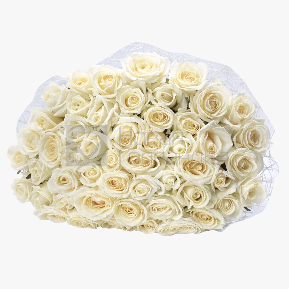 Букет 51 белая роза 60см
