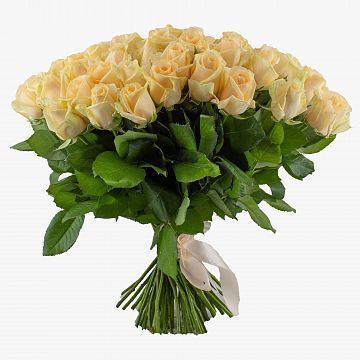 Букет 75 кремовых роз 40 см