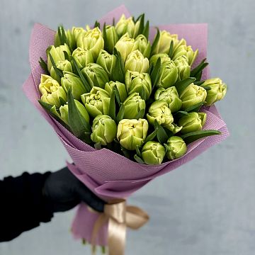 Букет 35 белых пионовидных тюльпанов