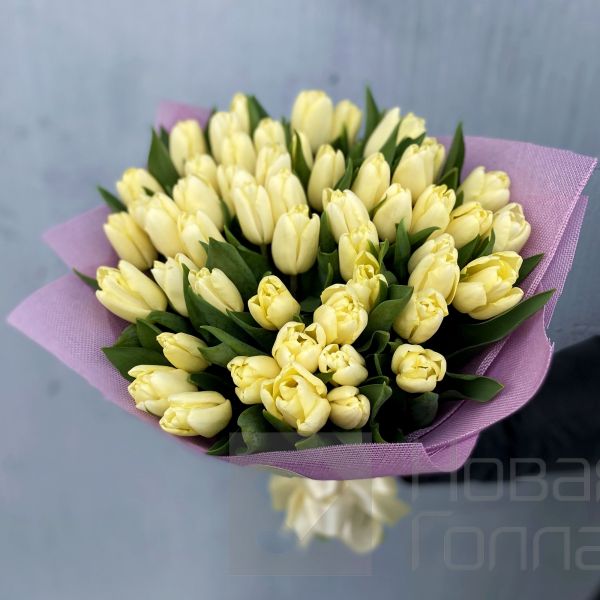 Букет 51 кремовый тюльпан