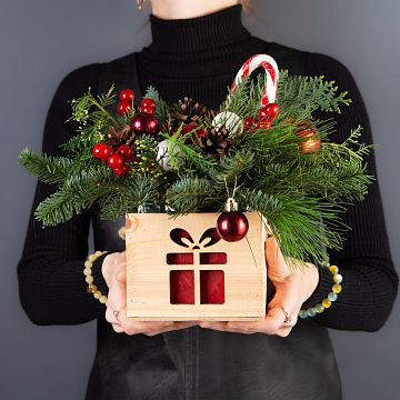 Композиция в кашпо елочка № 3 Композиция в кашпо елочка № 3