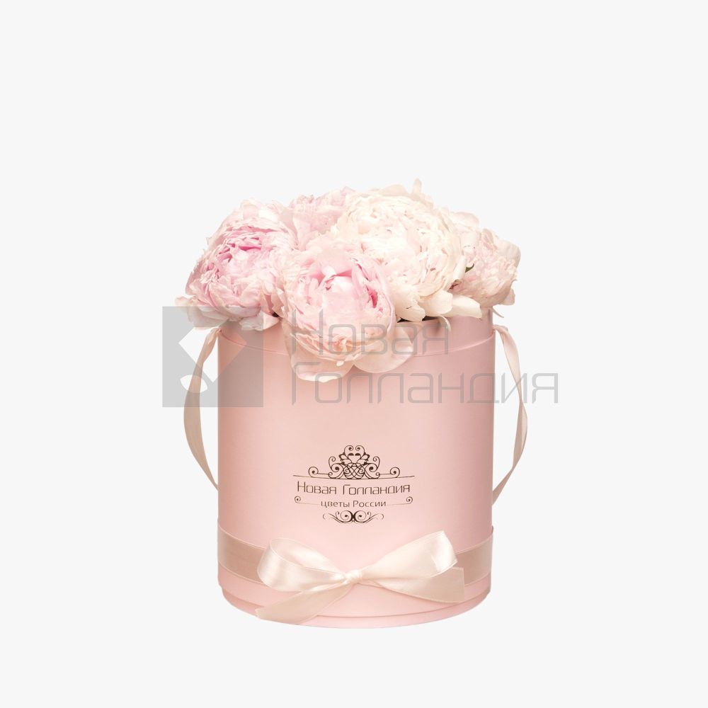 9 нежно-розовых пионов в розовой шляпной коробке №61