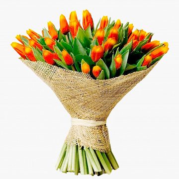 Букет 51 Красно-рыжий Тюльпан