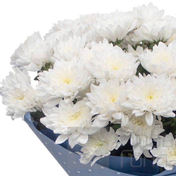 Букет 9 белых кустовых хризантем