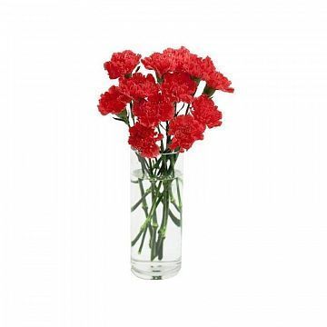 Букет из 11 гвоздик Букет из 11 гвоздик