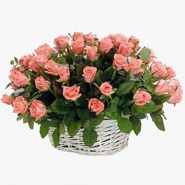101 коралловая роза в корзине