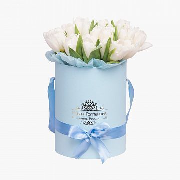 25 белых тюльпанов в голубой маленькой шляпной коробке №522