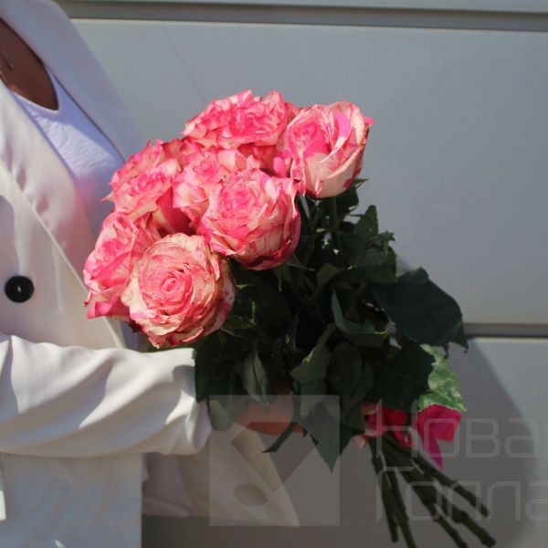 Букет 9 бело-розовых роз Эквадор