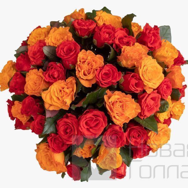 Букет 51 оранжевая и красная роза 35 см