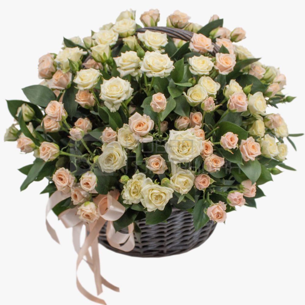 25 кремово-белых кустовых роз в корзине