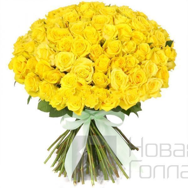 101 желтая роза 40 см Россия