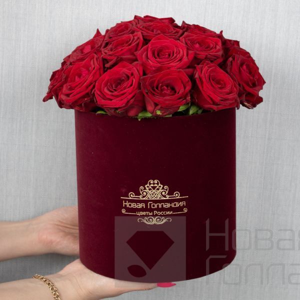 25 красных роз в бархатной коробке LUX