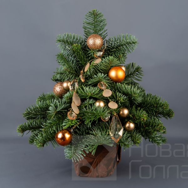 Ёлочка 25 см № 4