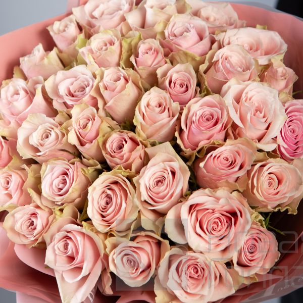 Букет 35 нюдовых роз Кения  40 см в  упаковке