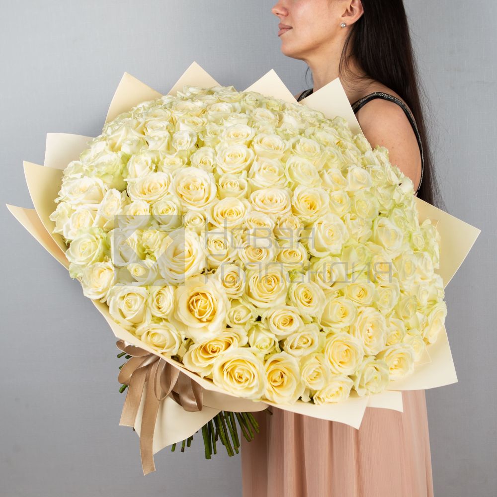 Букет 151 белая роза 60 см